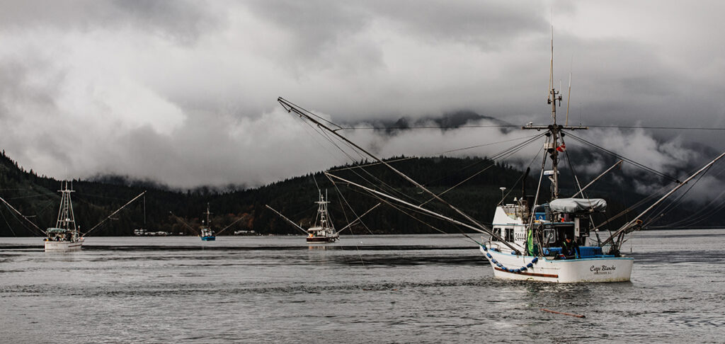 Chinook Troll fishery, British Columbia